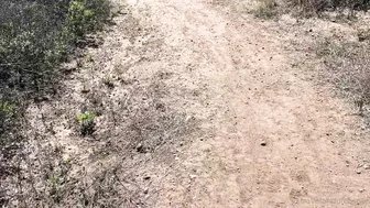 TravelAndPleasure Playing With Tits On The Hiking Trail Erome porn